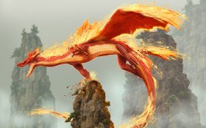 Аркат дракон огня - скачать обои на рабочий стол