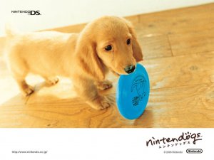 Обои для рабочего стола: Ninten-dog