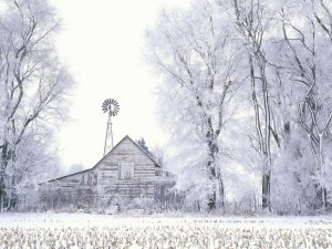 Обои для рабочего стола: Замерзшая ферма