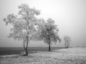 Обои для рабочего стола: Frozen road