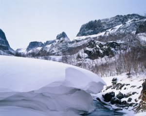 Обои для рабочего стола: Тяжелый снег