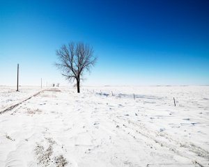 Обои для рабочего стола: Дорога под снегом