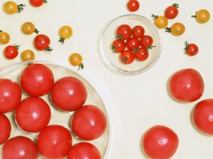 Обои для рабочего стола: Какие раазные помидо...