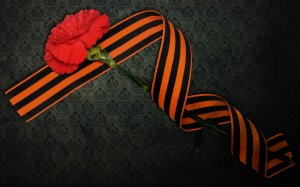 Обои для рабочего стола: Гвоздика