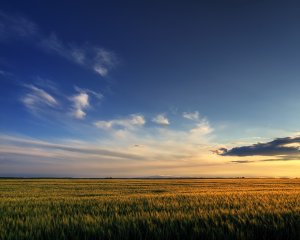 Обои для рабочего стола: Закат в степи