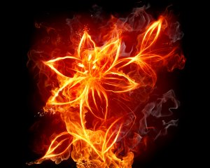 Обои для рабочего стола: FireFlower