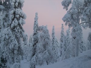 Обои для рабочего стола: Зима на севере