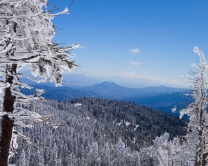 Обои для рабочего стола: Зимнее фото