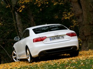 Обои для рабочего стола: Audi A5  в лесу