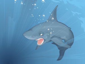 Обои для рабочего стола: Shark