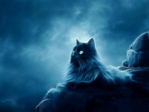 Обои для рабочего стола: Кот в тумане