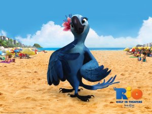 Обои для рабочего стола: Rio