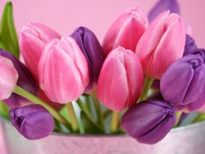 Обои для рабочего стола: Весенние цветочки