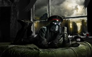 Обои для рабочего стола: Смотря в даль