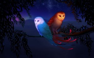 Обои для рабочего стола: Ночные совы