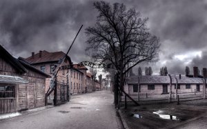 Обои для рабочего стола: Освенцим