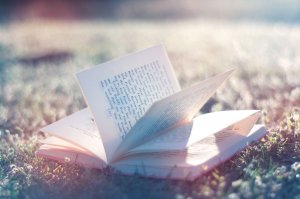 Обои для рабочего стола: Забытая книга