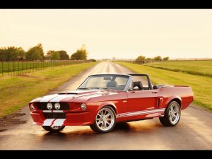 Обои для рабочего стола: Shellby GT500CR