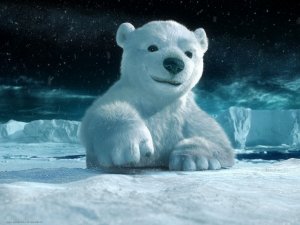 Обои для рабочего стола: Белый медведь
