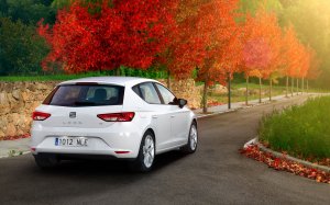 Обои для рабочего стола: Seat Leon 