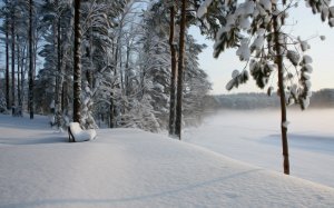 Обои для рабочего стола: Заснеженный парк