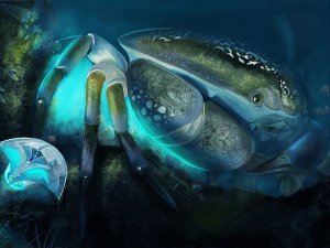 Обои для рабочего стола: Крабик
