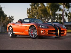 Обои для рабочего стола: Sport Viper