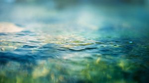 Обои для рабочего стола: Толща воды