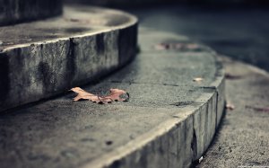 Обои для рабочего стола: Порог в осень