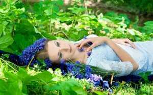 Обои для рабочего стола: Венок из голубых цве...