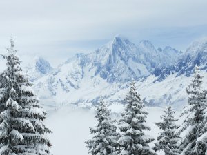 Обои для рабочего стола: Заснеженная даль