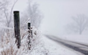 Обои для рабочего стола: Зимняя дорога