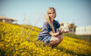 Обои для рабочего стола: В цветущем поле