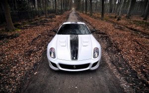 Обои для рабочего стола: Ferrari 599