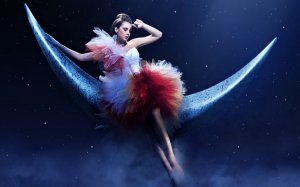 Обои для рабочего стола: На месяце