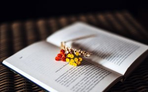 Обои для рабочего стола: Букет на книге