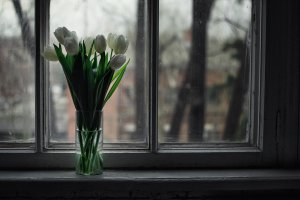 Обои для рабочего стола: Букет тюльпанов на о...