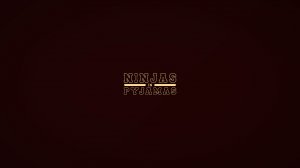 Обои для рабочего стола: Ninjas in Pyjamas