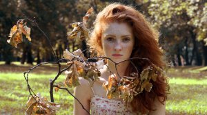 Обои для рабочего стола: За вткой