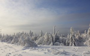 Обои для рабочего стола: Бескрайний север