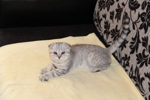 Обои для рабочего стола: Детство