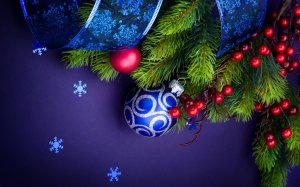 Обои для рабочего стола: Еловая ветвь