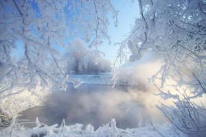 Обои для рабочего стола: Зимнее утро