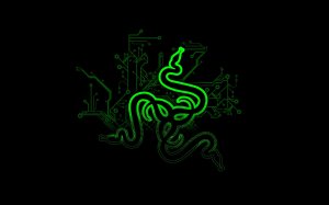 Обои для рабочего стола: RAZER