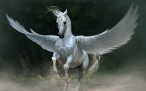 Обои для рабочего стола: Скачущий пегас