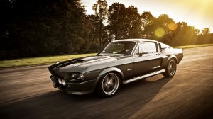 Обои для рабочего стола: shelby gt500