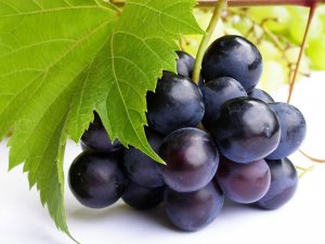 Обои для рабочего стола: Крупный виноград
