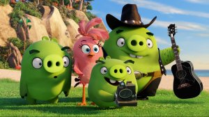 Обои для рабочего стола: Angry birds зеленые ...