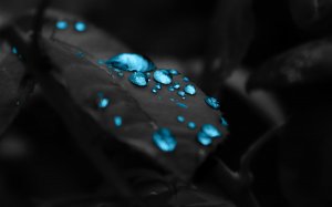 Обои для рабочего стола: Синие капли