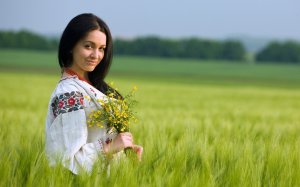 В чистом поле - скачать обои на рабочий стол